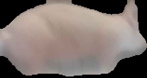 Crop