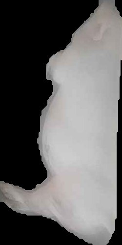 Crop