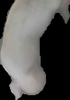 Crop