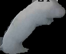 Crop