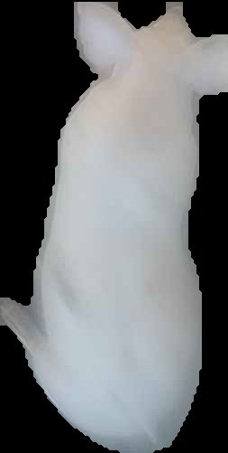 Crop