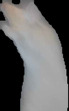 Crop