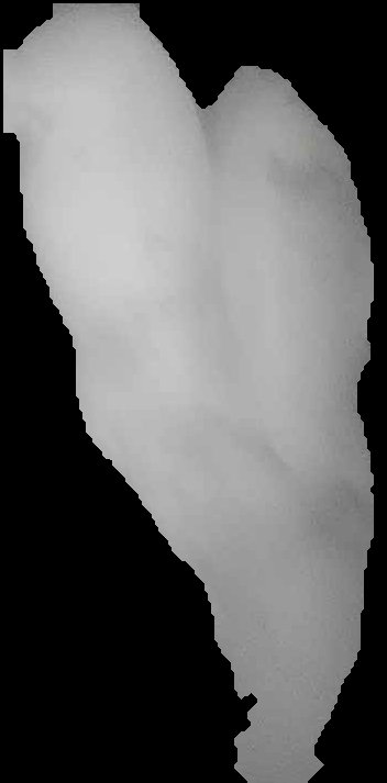 Crop