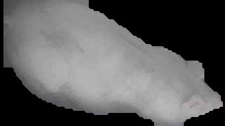 Crop