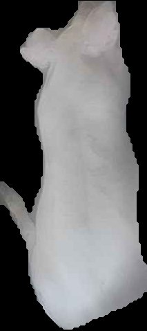 Crop