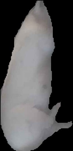 Crop