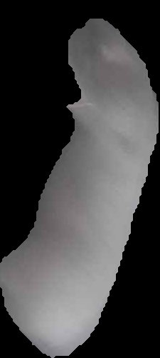 Crop