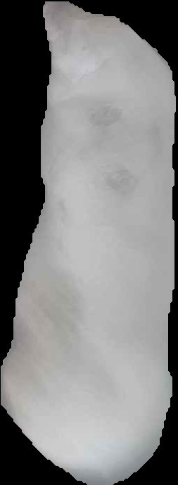 Crop