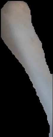 Crop