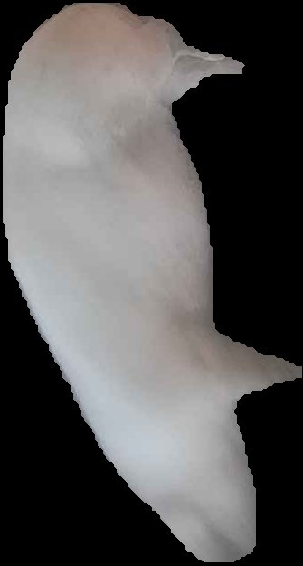 Crop