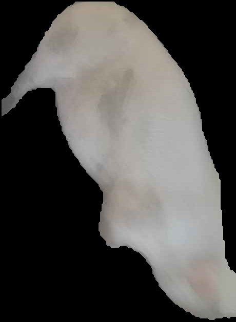 Crop