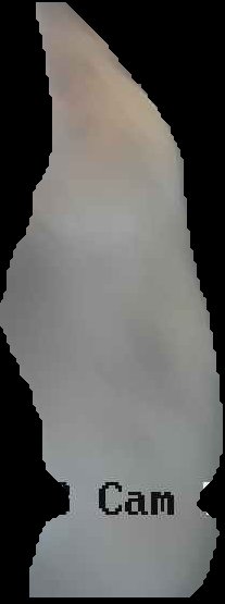 Crop