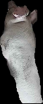 Crop