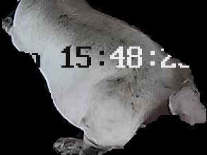 Crop
