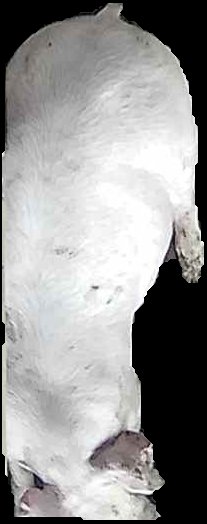 Crop