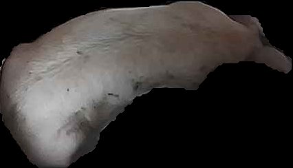 Crop