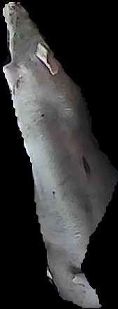 Crop