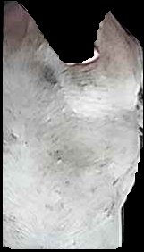 Crop