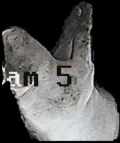 Crop
