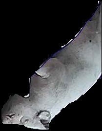 Crop