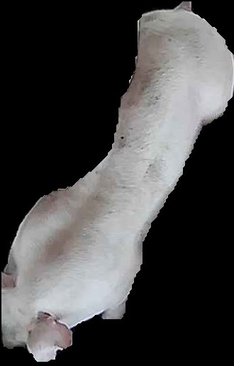 Crop