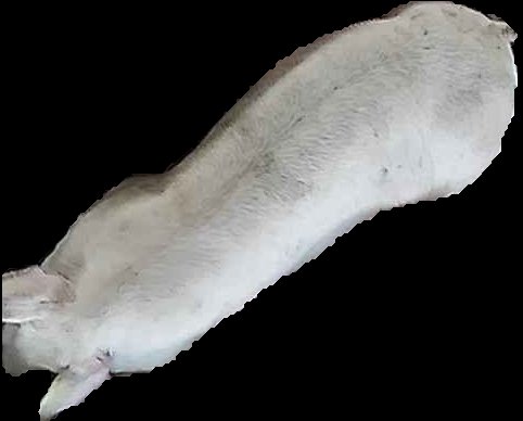 Crop