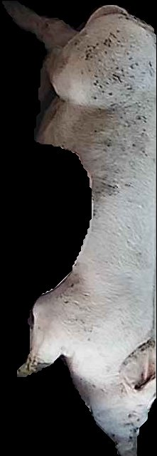 Crop