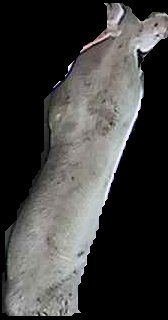 Crop