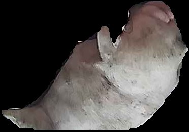 Crop