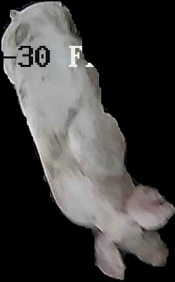 Crop