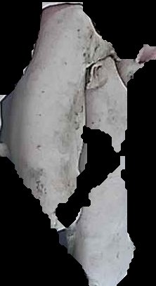 Crop