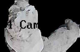 Crop