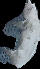 Crop