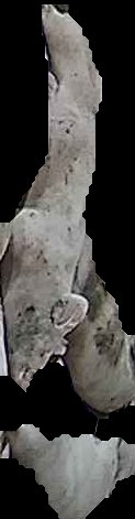 Crop