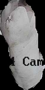 Crop