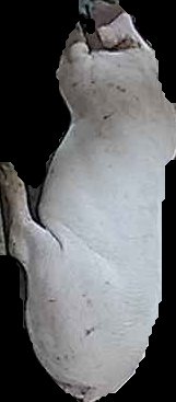 Crop