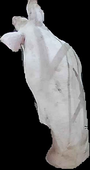 Crop