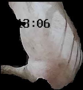 Crop