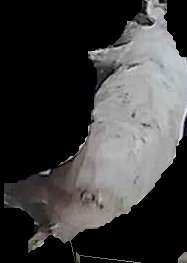 Crop