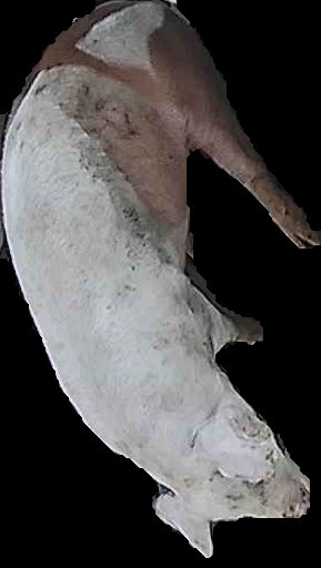 Crop
