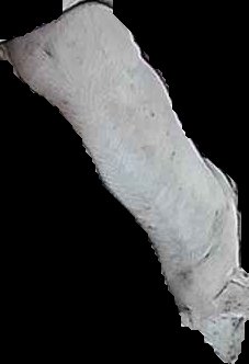 Crop