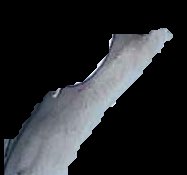 Crop