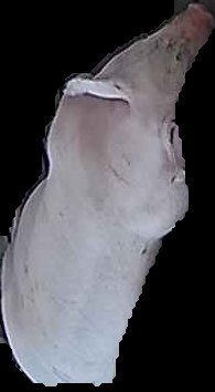 Crop