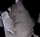 Crop
