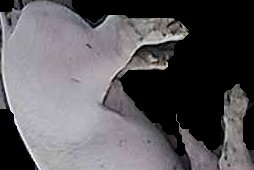 Crop