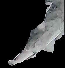 Crop