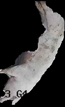 Crop
