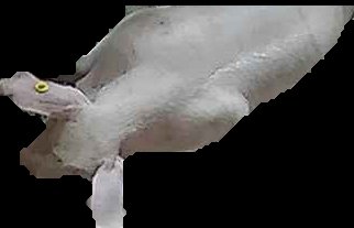 Crop