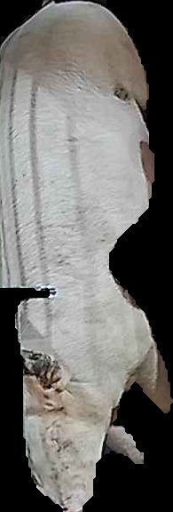 Crop