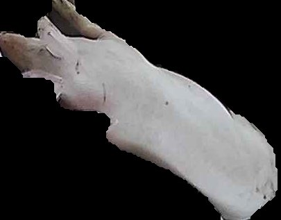 Crop